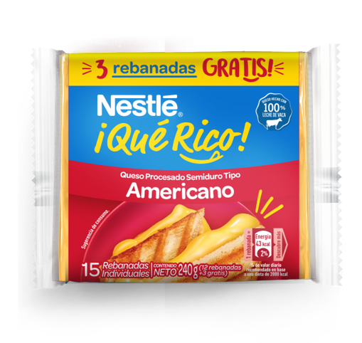 NESTLE American Cheese 24(12x16g) N1 PA